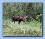 Click to enlarge image