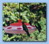 Click to enlarge image