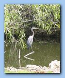 Click to enlarge image