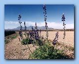 Click to enlarge image