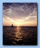 Click to enlarge image